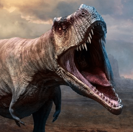 dinosaurios para colorear e imprimir rex paso a paso