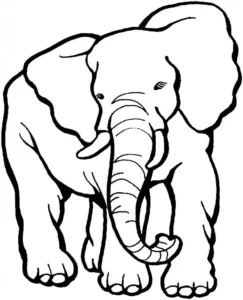 elefantes para imprimir