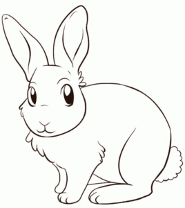 imagen de conejo para colorear