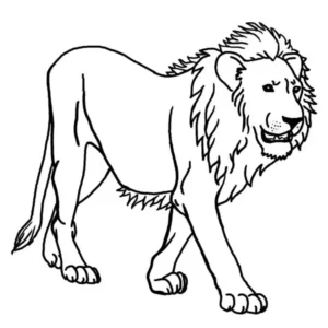 león salvaje para pintar