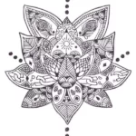 mandalas flor de loto